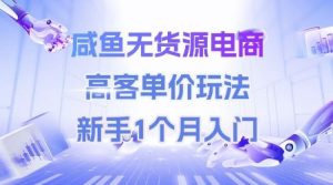 咸鱼无货源电商,高客单价玩法,新手1个月入门-七量思维