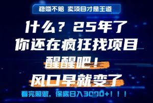 什么?25年你还在疯狂找项目做,醒醒吧,看完这些你全都懂了!【揭秘】-七量思维