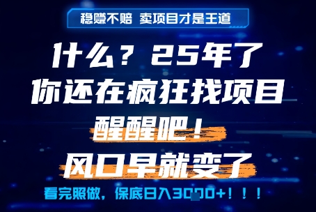 什么？25年你还在疯狂找项目做，醒醒吧，看完这些你全都懂了！【揭秘】-七量思维