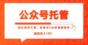 【公众号托管 】我提供文章，你每天５分钟复制发布，最高月入1W-七量思维