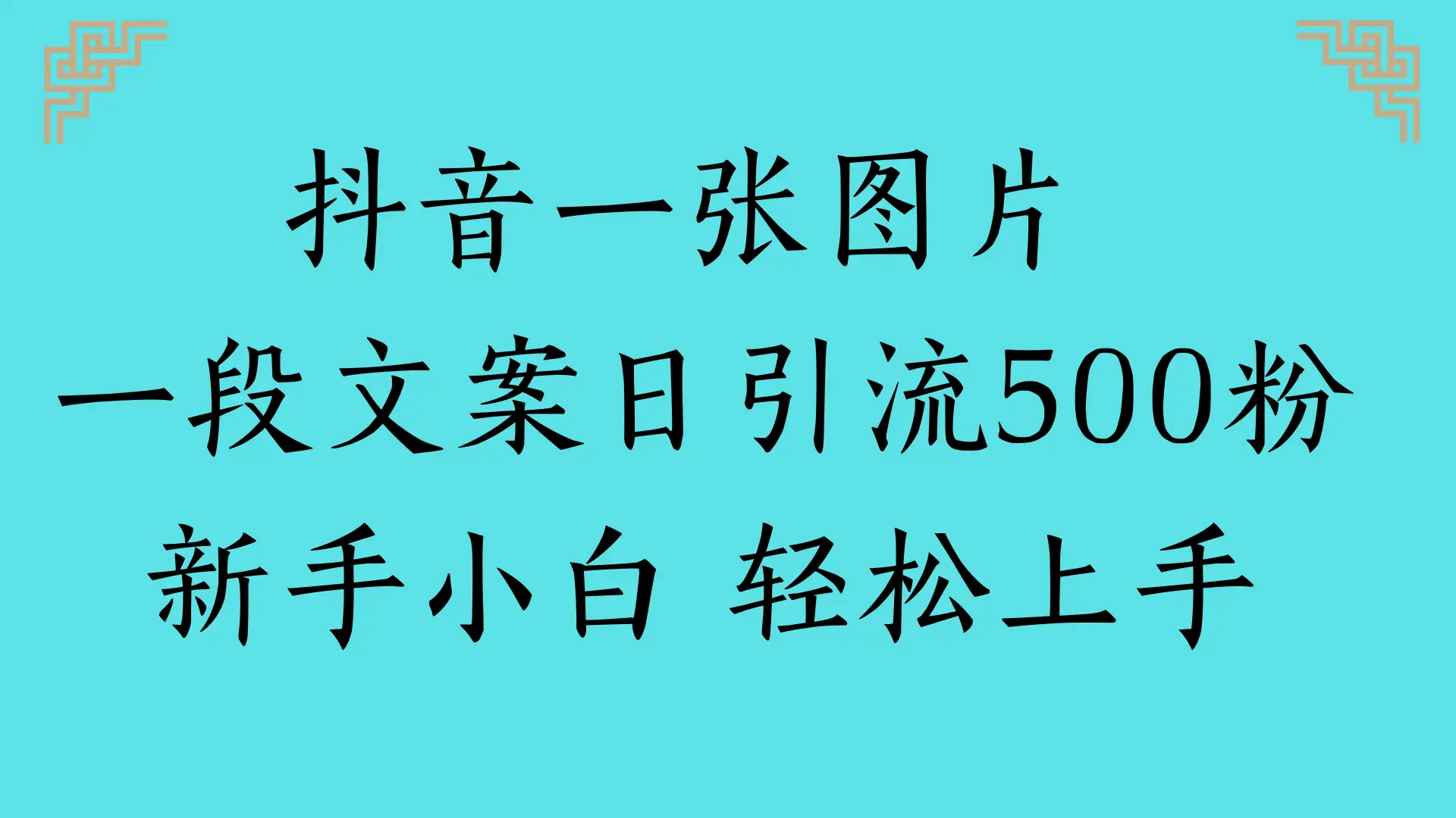 抖音一张图片 一段文案日引流500粉
新手小白 轻松上手-创业猫