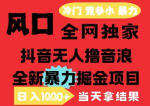 25年6月高爆抖音无人直播最新撸音浪掘金项目,解放双手小白可做,无脑日入1k+,门槛低【揭秘】-七量思维