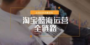 淘宝蓝海运营全链路，从选品到流量变现，小类目突围完整方案-七量思维