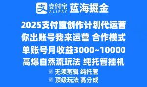 2025支付宝创作分成计划代运营,高爆自然流玩法,纯挂机高分成,合作共赢模式!-七量思维