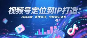 视频号定位到IP打造：账号搭建-内容运营-直播变现，完整知识体系-七量思维