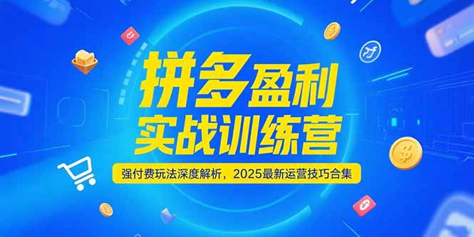 拼多多盈利实战训练营，强付费玩法深度解析，2025运营技巧合集-更新6月-七量思维