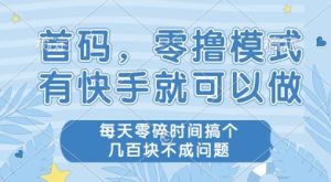 首码零撸项目,有快手就可以做,每天业务时间搞个几张不是问题【揭秘】-七量思维