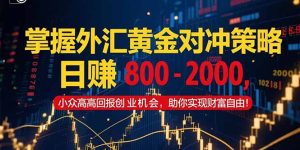 掌握外汇黄金对冲策略，日赚 800 – 2000，小众高回报创业机会，助你实…-七量思维