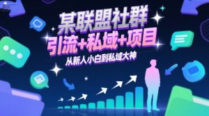 某联盟社群，引流+私域+项目，从新人小白到私域大神-七量思维