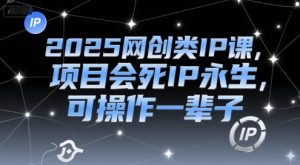 2025网创类IP课，项目会死IP永生，可操作一辈子-七量思维