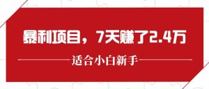 最新暴利项目，每单收益轻松在300以上，7天赚了2.4万-七量思维