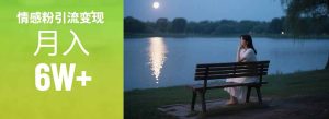 情感粉引流变现实操课：单月变现6w+，情感粉引流变现实操课-七量思维