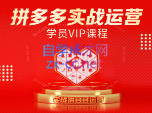 推易电商·拼多多实战运营课(更新2025月)-七量思维