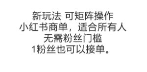 可矩阵操作，小红书商单新玩法，适合所有人，无需粉丝门槛，1粉丝也可以接单-七量思维