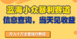 蓝海小众暴利赛道，信息查询，当天见收益，不讲玄学，7天搞了2万+-七量思维