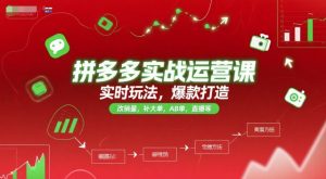 拼多多实战运营课,实时玩法,爆款打造,改销量,补大单,AB单,直播等(更新2025月)-七量思维