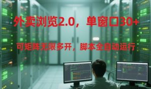 外卖浏览2.0,单窗口30+可矩阵无限多开,脚本全自动运行【揭秘】-七量思维