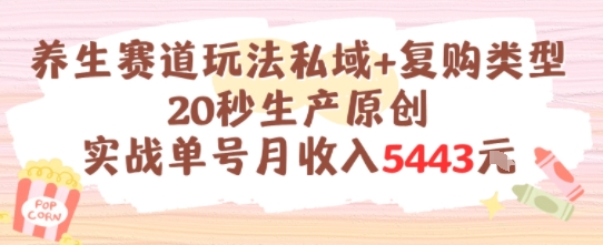 养生赛道玩法私域+复购类型，20秒生产原创实战单号月收入5k+-七量思维