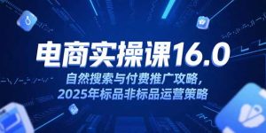 淘宝电商运营课16.0,自然搜索与付费推广攻略,2025年标品非标品运营策略-七量思维