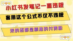小红书发笔记一直违规，套用这个公式不仅不违规，来的还都是精准的付费粉-七量思维