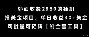 外面收费2980的挂G撸美金项目,单日收益30+美金,可批量可矩阵【揭秘】-七量思维