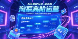 淘系高阶运营-第70期，标品干爆技巧，解决难点策略，大佬操盘方法-七量思维