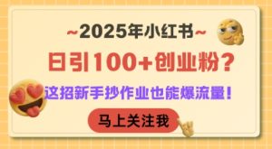 2025年小红书日引100+创业粉?这招新手抄作业也能爆流量!-七量思维