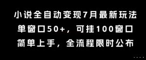 小说全自动变现7月玩法，单窗口50+，可挂100窗口，简单上手，全流程限时公布【揭秘】-七量思维
