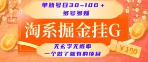淘系掘金挂G项目，单账号日收益30~100+，多号多得，一个做了就有的项目【揭秘】-七量思维