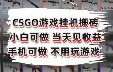CSGO游戏挂G搬砖，小白纯手机即可操作，不用电脑打游戏，日入3张+，副业网创项目【揭秘】-七量思维