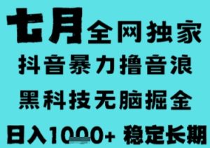 7月最新风口抖音无人直播撸音浪,长期稳定,非短期,全自动运行,低门槛无脑,日入1k+【揭秘】-七量思维