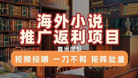 海外小说推广返利项目，视频投喂， 一刀不剪，矩阵批量-七量思维
