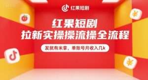 红果短剧拉新实操全流程，发就有米拿，单账号月收入几k-七量思维