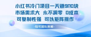 小红书冷门项目一天收益9张,市场需求大,0成本,可复制性强可以矩阵操作-七量思维