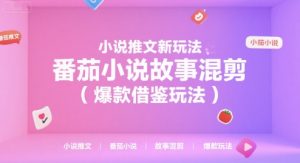 小说推文新玩法,番茄小说故事混剪(爆款借鉴玩法)-七量思维