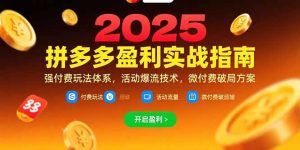拼多多盈利实战指南，强付费玩法，活动爆流技术，微付费破局方案(更新7月-七量思维