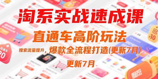淘系实战速成课，直通车高阶玩法，搜索流量提升，爆款全流程打造(更新7月-七量思维