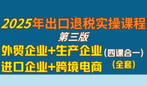 崔sir·出口退税实操-外贸企业+生产企业+跨境电商+进口企业(四课合一)-七量思维