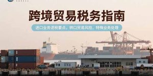 跨境贸易税务指南，进口业务退税要点，转口贸易风险，特殊业务处理-七量思维