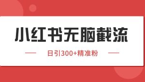 小红书截流同行客源,独家野路子获客玩法 日引200+暴力获客-七量思维