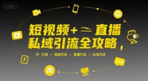 短视频+直播私域引流全攻略，IP打造 +视频引流 +直播引流 +私域沉淀-七量思维