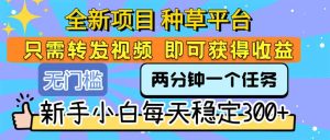 全新项目 种草平台 只需要转发任务视频 即可获得收益 新手小白每天300+-七量思维