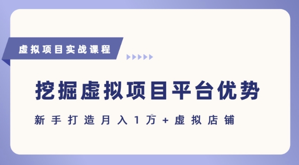 抓住虚拟项目各平台优势，新手轻松月入1W+(给出具体建议)-七量思维