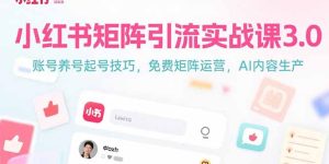 小红书矩阵引流实战课3.0：账号养号起号技巧，免裴矩阵运营，AI内容生产-七量思维