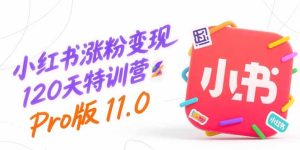 小红书涨粉变现120天特训营Pro版11.0：从0到1掌握平台运营,内容制作和变现-七量思维