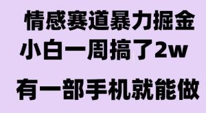 情感暴力掘金项目,新人操作一周挣了2W,长期稳定小白可做【揭秘】-七量思维