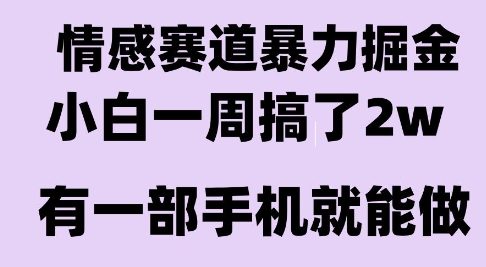 情感暴力掘金项目，新人操作一周挣了2W，长期稳定小白可做【揭秘】-七量思维