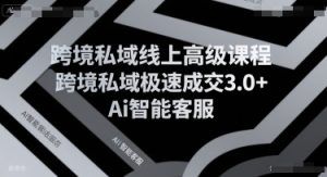 跨境私域线上高级课程,跨境私域极速成交3.0+Ai智能客服-七量思维