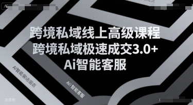 跨境私域线上高级课程，跨境私域极速成交3.0+Ai智能客服-七量思维