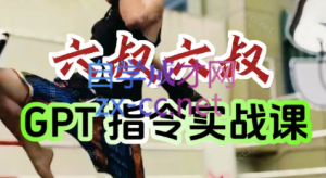 六叔的AI指令实战课(更新7月)-七量思维